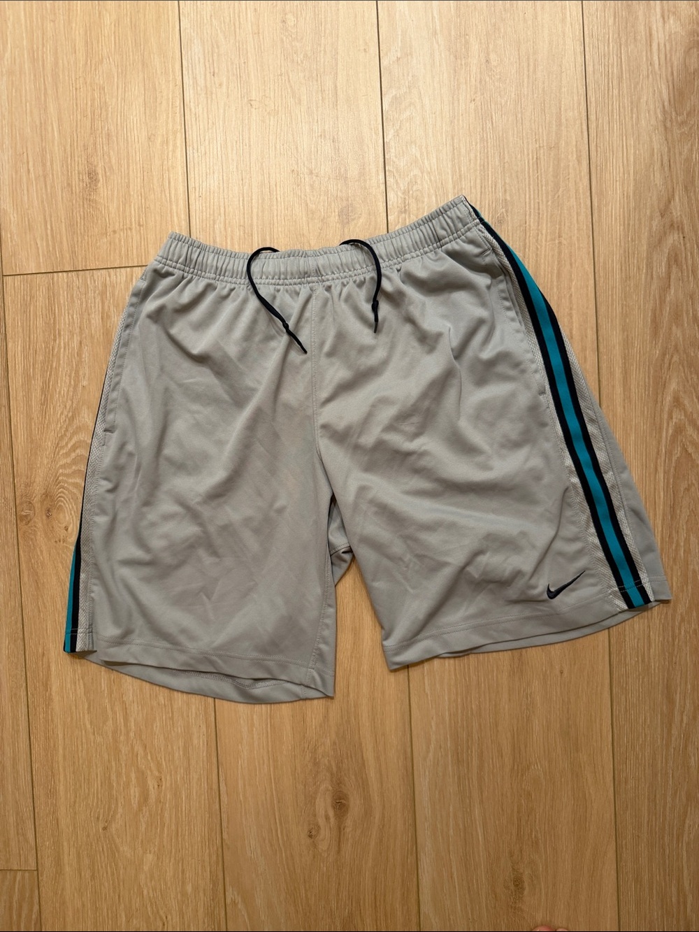 Nike Men’s Light Gray Athletic Shorts with Teal and Black Side Stripes